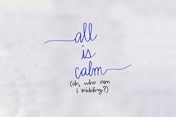 Funny Saying: A Seasonal Embroidery Design Review